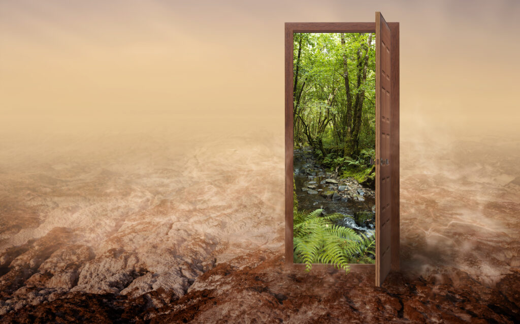 Online Counselling Cape Town